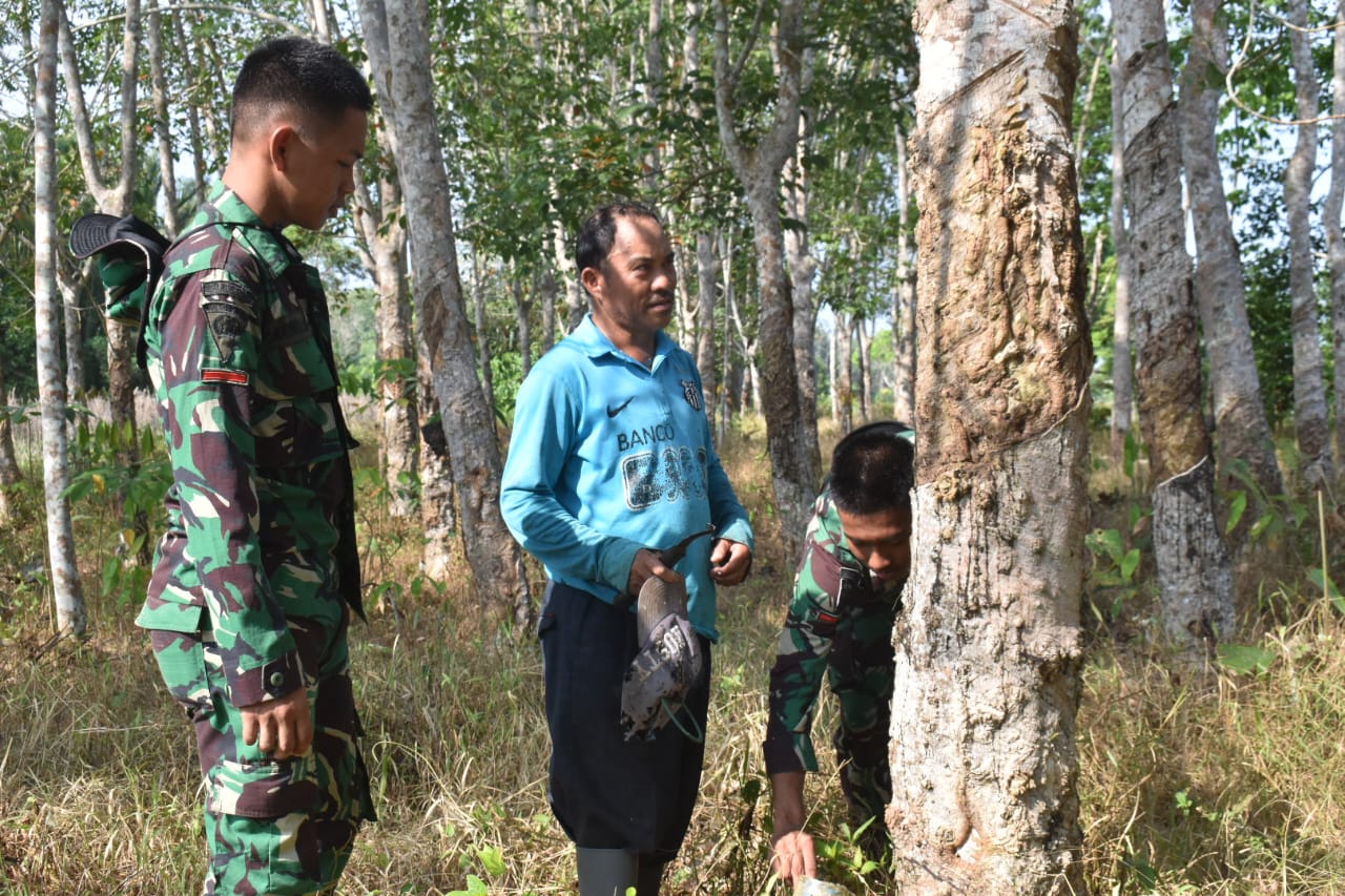 Sisi Lain Keseharian Warga Di Lokasi TMMD ke-116 Kodim 1002/HST