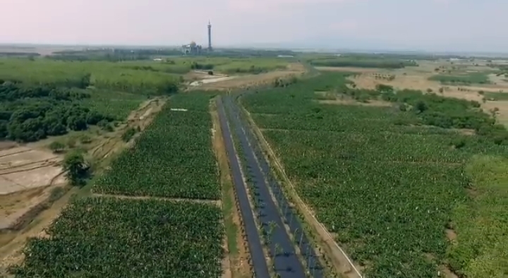 Lahan Perkebunan Al Zaytun Luas 40 Hektar